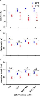 Elevated Temperature Does Not Substantially Modify the Interactive Effects Between Elevated CO2 and Diel CO2 Cycles on the Survival, Growth and Behavior of a Coral Reef Fish